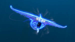 High Quality subnautica ghost leviathan Blank Meme Template