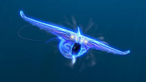 subnautica ghost leviathan Blank Meme Template