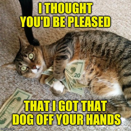 Cat Helps Out Owner and Makes a Few Bucks in the Process | I THOUGHT YOU'D BE PLEASED; THAT I GOT THAT DOG OFF YOUR HANDS | image tagged in money cat,memes,excuses,spock illogical,capitalism,free market | made w/ Imgflip meme maker