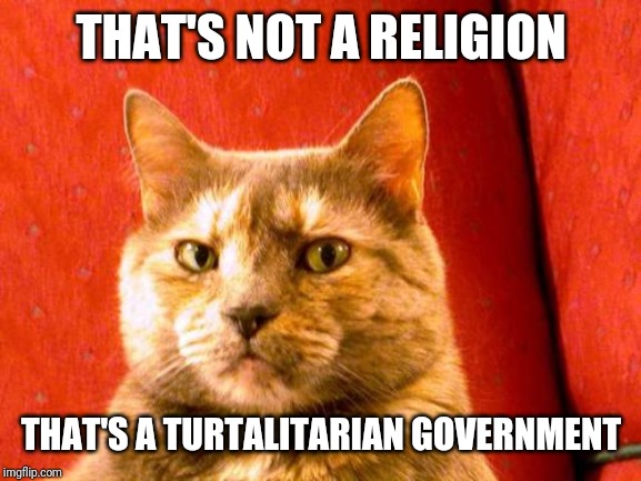Suspicious Cat Meme | THAT'S NOT A RELIGION THAT'S A TURTALITARIAN GOVERNMENT | image tagged in memes,suspicious cat | made w/ Imgflip meme maker