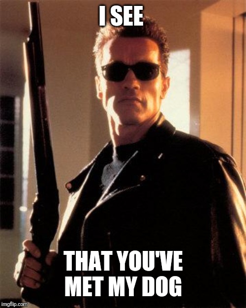 Terminator 2 | I SEE THAT YOU'VE MET MY DOG | image tagged in terminator 2 | made w/ Imgflip meme maker