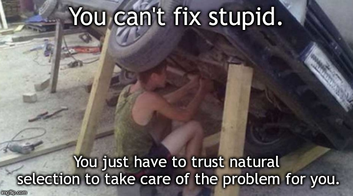 You can't fix stupid. You just have to trust natural selection to take care of the problem for you. | image tagged in dude doing dangerous stupid car repair | made w/ Imgflip meme maker