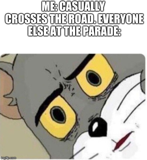 Tom and Jerry meme | ME: CASUALLY CROSSES THE ROAD. EVERYONE ELSE AT THE PARADE: | image tagged in tom and jerry meme | made w/ Imgflip meme maker