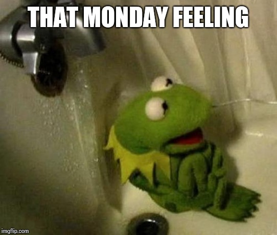 Kermit on Shower | THAT MONDAY FEELING | image tagged in kermit on shower | made w/ Imgflip meme maker