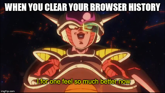 I for one feel so much better now | WHEN YOU CLEAR YOUR BROWSER HISTORY; I for one feel so much better now | image tagged in dragon ball super | made w/ Imgflip meme maker
