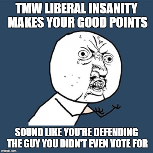 liberal insanity makes reasonable people sound like trump lovers | TMW LIBERAL INSANITY MAKES YOUR GOOD POINTS; SOUND LIKE YOU'RE DEFENDING THE GUY YOU DIDN'T EVEN VOTE FOR | image tagged in memes,y u no,trump,stupid liberals,liberals vs conservatives,truth hurts | made w/ Imgflip meme maker