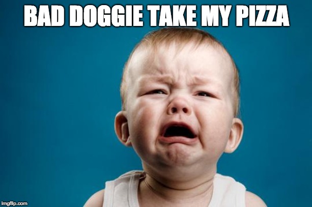 BABY CRYING | BAD DOGGIE TAKE MY PIZZA | image tagged in baby crying | made w/ Imgflip meme maker