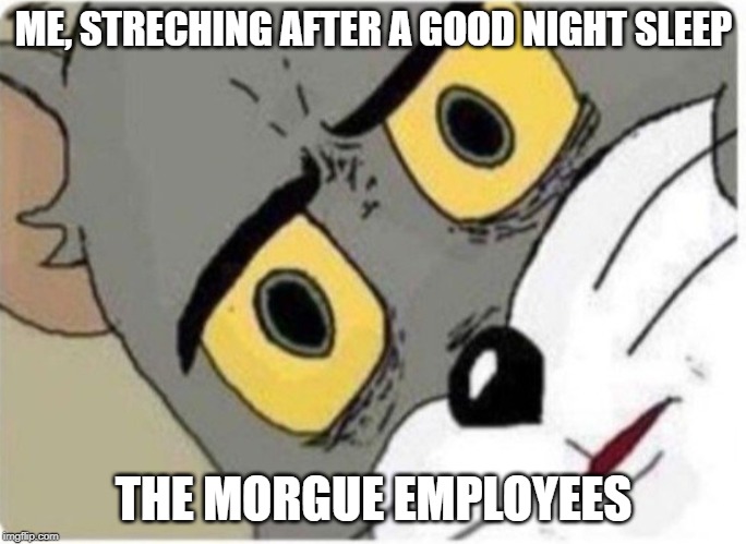 Tom and Jerry meme | ME, STRECHING AFTER A GOOD NIGHT SLEEP; THE MORGUE EMPLOYEES | image tagged in tom and jerry meme | made w/ Imgflip meme maker
