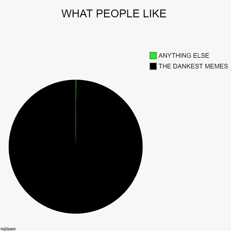 WHAT PEOPLE LIKE | THE DANKEST MEMES, ANYTHING ELSE | image tagged in charts,pie charts | made w/ Imgflip chart maker