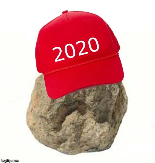 rock the vote | image tagged in politics,donald trump,trump,funny,maga | made w/ Imgflip meme maker