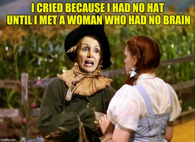 I CRIED BECAUSE I HAD NO HAT UNTIL I MET A WOMAN WHO HAD NO BRAIN | made w/ Imgflip meme maker