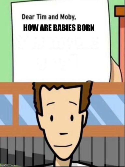 HOW ARE BABIES BORN | image tagged in weird stuff i do potoo | made w/ Imgflip meme maker