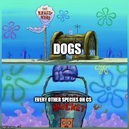 Krusty Krab Vs Chum Bucket Meme | DOGS; EVERY OTHER SPECIES ON CS | image tagged in memes,krusty krab vs chum bucket | made w/ Imgflip meme maker