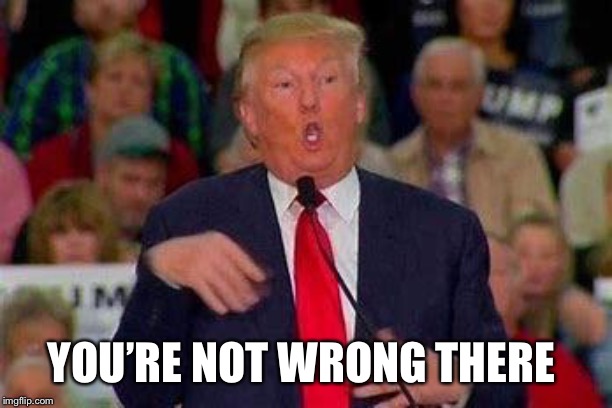 Trump Retard | YOU’RE NOT WRONG THERE | image tagged in trump retard | made w/ Imgflip meme maker