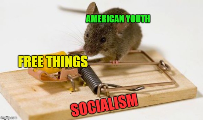 AMERICAN YOUTH; FREE THINGS; SOCIALISM | image tagged in memes,socialism,politics | made w/ Imgflip meme maker