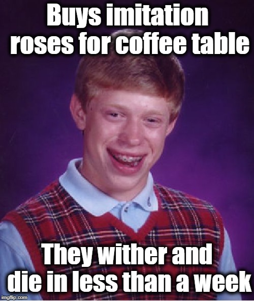 Bad Luck Brian Meme | Buys imitation roses for coffee table; They wither and die in less than a week | image tagged in memes,bad luck brian | made w/ Imgflip meme maker