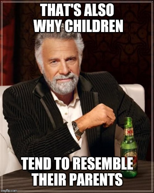 The Most Interesting Man In The World Meme | THAT'S ALSO WHY CHILDREN TEND TO RESEMBLE THEIR PARENTS | image tagged in memes,the most interesting man in the world | made w/ Imgflip meme maker