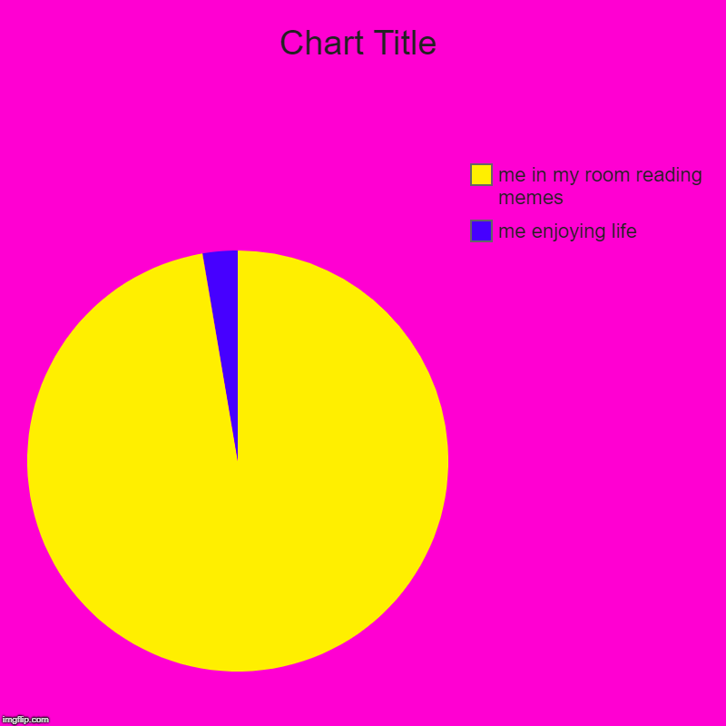 me enjoying life , me in my room reading memes | image tagged in charts,pie charts | made w/ Imgflip chart maker