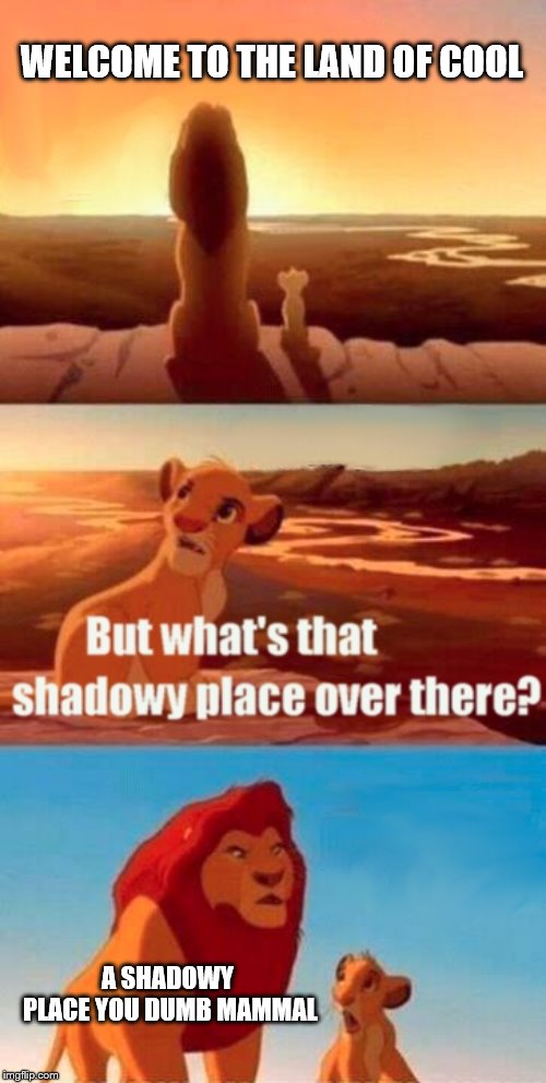 its a shadowy place you dumb mammal | WELCOME TO THE LAND OF COOL; A SHADOWY PLACE YOU DUMB MAMMAL | image tagged in memes,simba shadowy place | made w/ Imgflip meme maker