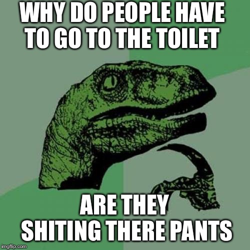 Philosoraptor | WHY DO PEOPLE HAVE TO GO TO THE TOILET; ARE THEY SHITING THERE PANTS | image tagged in memes,philosoraptor | made w/ Imgflip meme maker