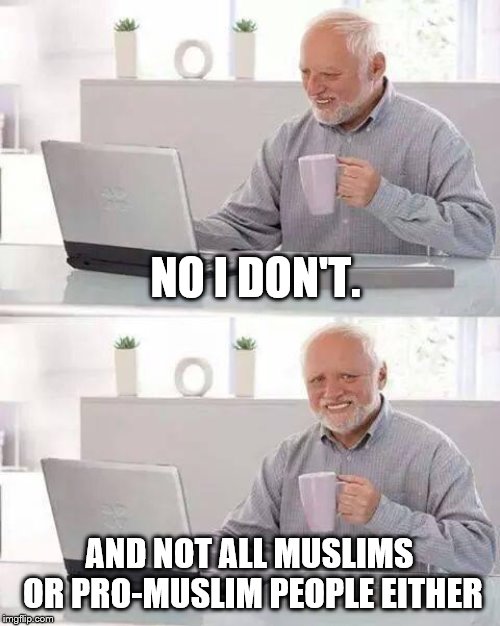 Hide the Pain Harold Meme | NO I DON'T. AND NOT ALL MUSLIMS OR PRO-MUSLIM PEOPLE EITHER | image tagged in memes,hide the pain harold | made w/ Imgflip meme maker