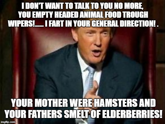 Donald Trump | I DON'T WANT TO TALK TO YOU NO MORE, YOU EMPTY HEADED ANIMAL FOOD TROUGH WIPERS!...... I FART IN YOUR GENERAL DIRECTION! . YOUR MOTHER WERE  | image tagged in donald trump | made w/ Imgflip meme maker