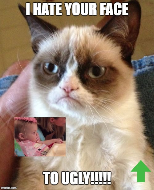 Grumpy Cat | I HATE YOUR FACE; TO UGLY!!!!! | image tagged in memes,grumpy cat | made w/ Imgflip meme maker