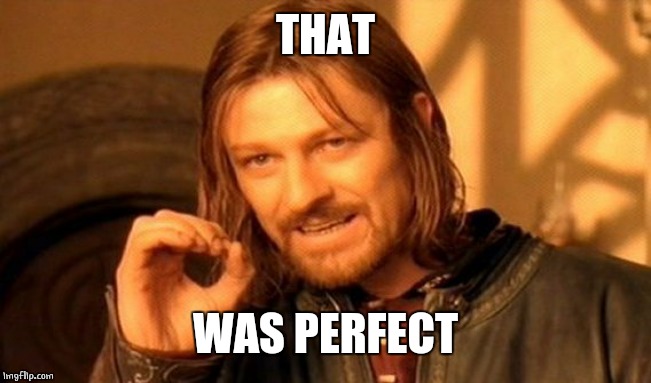 One Does Not Simply Meme | THAT WAS PERFECT | image tagged in memes,one does not simply | made w/ Imgflip meme maker