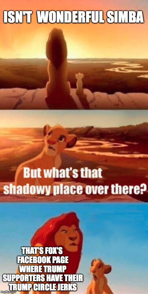 Simba Shadowy Place | ISN'T  WONDERFUL SIMBA; THAT'S FOX'S FACEBOOK PAGE WHERE TRUMP SUPPORTERS HAVE THEIR TRUMP CIRCLE JERKS | image tagged in memes,simba shadowy place | made w/ Imgflip meme maker