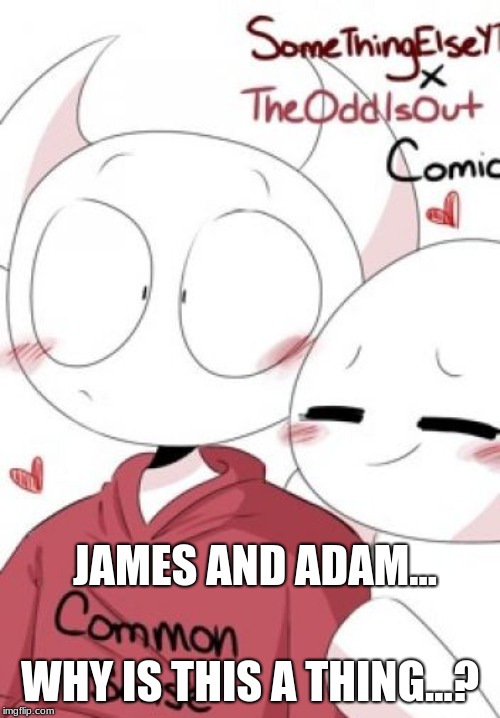 I dont own this!  | JAMES AND ADAM... WHY IS THIS A THING...? | image tagged in theodd1sout,somethingelseyt,relationships,fanart | made w/ Imgflip meme maker