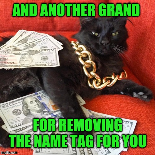 Gangster Cat | AND ANOTHER GRAND FOR REMOVING THE NAME TAG FOR YOU | image tagged in gangster cat | made w/ Imgflip meme maker