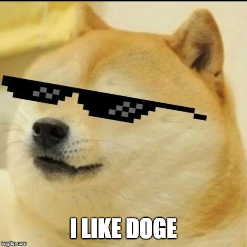 I LIKE DOGE | image tagged in sunglass doge | made w/ Imgflip meme maker