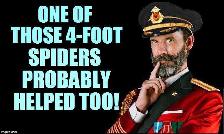 ONE OF THOSE 4-FOOT SPIDERS PROBABLY HELPED TOO! | made w/ Imgflip meme maker