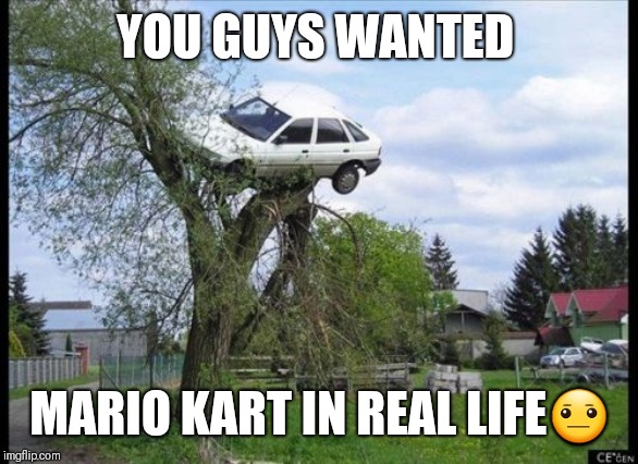Secure Parking | YOU GUYS WANTED; MARIO KART IN REAL LIFE😐 | image tagged in memes,secure parking | made w/ Imgflip meme maker