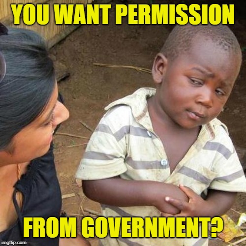 Third World Skeptical Kid | YOU WANT PERMISSION; FROM GOVERNMENT? | image tagged in memes,third world skeptical kid | made w/ Imgflip meme maker
