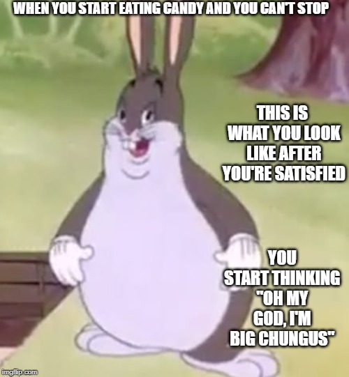 Big Chungus | WHEN YOU START EATING CANDY AND YOU CAN'T STOP; THIS IS WHAT YOU LOOK LIKE AFTER YOU'RE SATISFIED; YOU START THINKING "OH MY GOD, I'M BIG CHUNGUS" | image tagged in big chungus | made w/ Imgflip meme maker