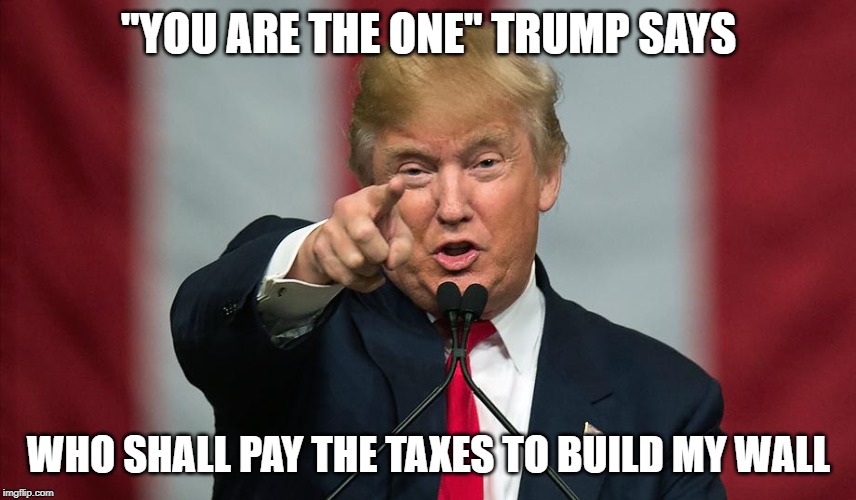 Donald Trump Birthday | "YOU ARE THE ONE" TRUMP SAYS; WHO SHALL PAY THE TAXES TO BUILD MY WALL | image tagged in donald trump birthday | made w/ Imgflip meme maker