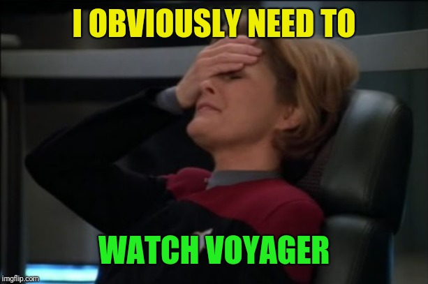 Captain Janeway Facepalm | I OBVIOUSLY NEED TO WATCH VOYAGER | image tagged in captain janeway facepalm | made w/ Imgflip meme maker