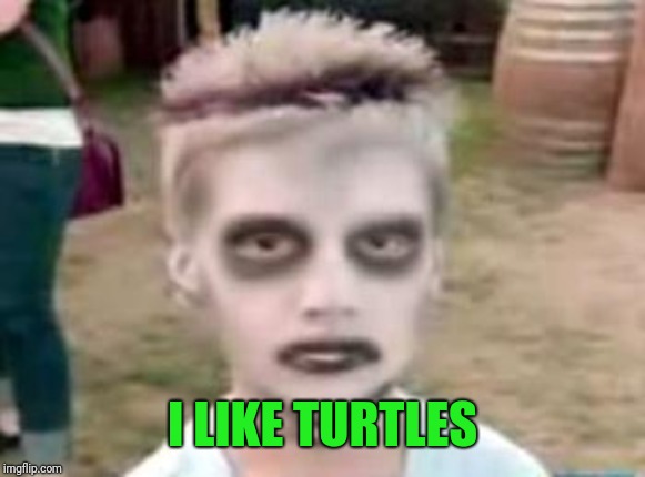 I like turtles | I LIKE TURTLES | image tagged in i like turtles | made w/ Imgflip meme maker