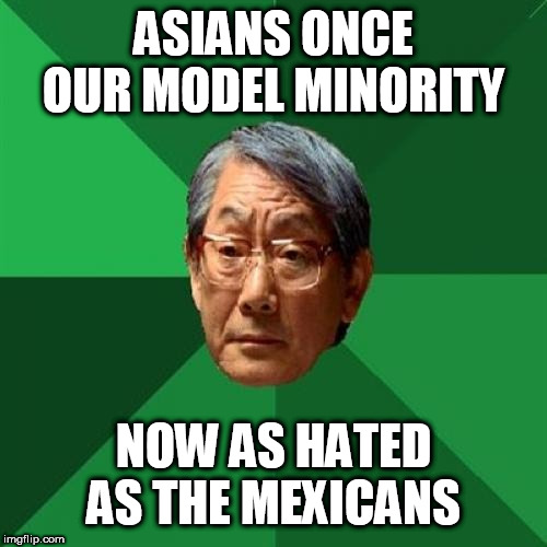 High Expectations Asian Father Meme | ASIANS ONCE OUR MODEL MINORITY; NOW AS HATED AS THE MEXICANS | image tagged in memes,high expectations asian father | made w/ Imgflip meme maker