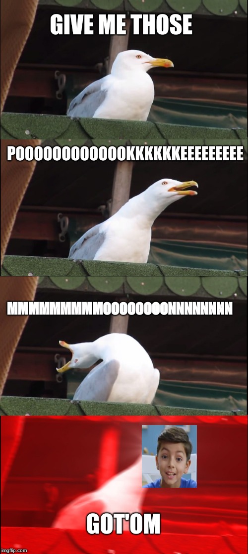 Inhaling Seagull | GIVE ME THOSE; POOOOOOOOOOOOKKKKKKEEEEEEEEE; MMMMMMMMMOOOOOOOONNNNNNNN; GOT'OM | image tagged in memes,inhaling seagull | made w/ Imgflip meme maker