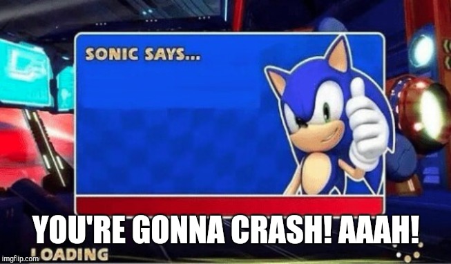 Sonic Says | YOU'RE GONNA CRASH! AAAH! | image tagged in sonic says | made w/ Imgflip meme maker