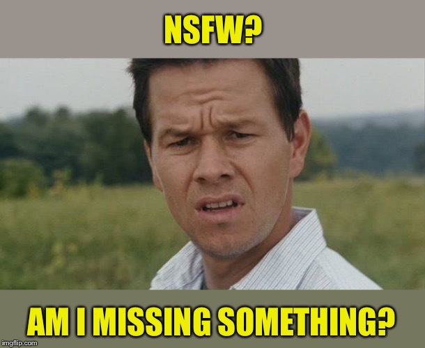 Mark Wahlburg confused | NSFW? AM I MISSING SOMETHING? | image tagged in mark wahlburg confused | made w/ Imgflip meme maker