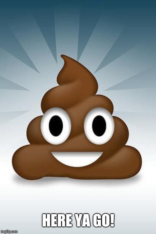 poop whatsapp | HERE YA GO! | image tagged in poop whatsapp | made w/ Imgflip meme maker