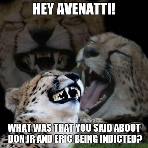 Gloaty gloat gloat! Hahaha | HEY AVENATTI! WHAT WAS THAT YOU SAID ABOUT DON JR AND ERIC BEING INDICTED? | image tagged in laughing cheetah,michael avenatti,criminal,presidential race,lol so funny | made w/ Imgflip meme maker