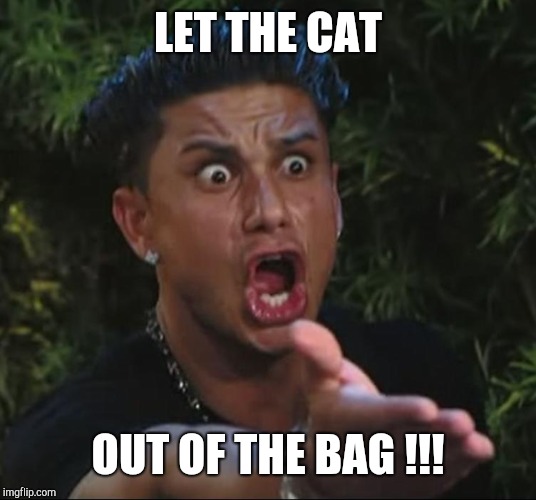 situation | LET THE CAT OUT OF THE BAG !!! | image tagged in situation | made w/ Imgflip meme maker