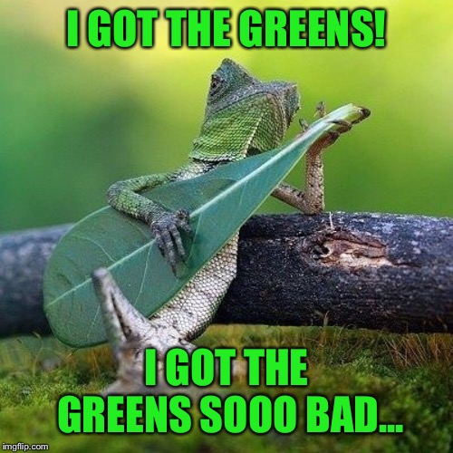 Playing the greens | I GOT THE GREENS! I GOT THE GREENS SOOO BAD... | image tagged in lizard,blues,player,funny picture,green,memes | made w/ Imgflip meme maker