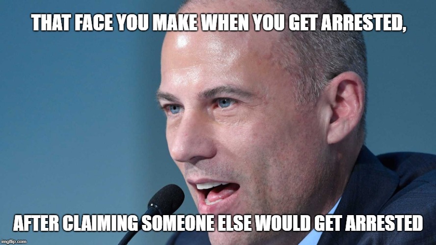 Michael Avenatti | THAT FACE YOU MAKE WHEN YOU GET ARRESTED, AFTER CLAIMING SOMEONE ELSE WOULD GET ARRESTED | image tagged in michael avenatti | made w/ Imgflip meme maker