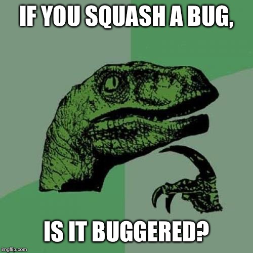 Philosoraptor | IF YOU SQUASH A BUG, IS IT BUGGERED? | image tagged in memes,philosoraptor | made w/ Imgflip meme maker