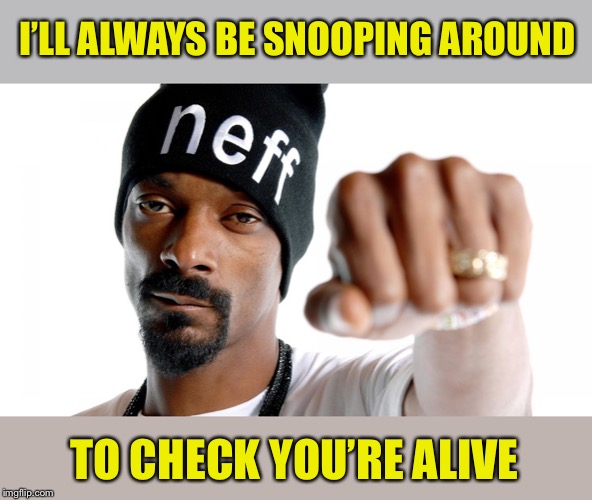 Snoop Fist Bump | I’LL ALWAYS BE SNOOPING AROUND TO CHECK YOU’RE ALIVE | image tagged in snoop fist bump | made w/ Imgflip meme maker